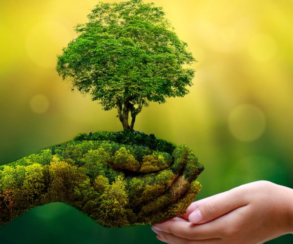 nature-pzh8ijub1toqa7texau7yrr82hv8hihrbxs1a816yw